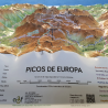 Picos de Europa