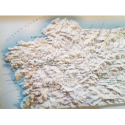 Mi Camino. Camino de Santiago personalizado