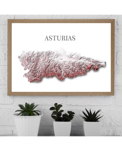 *Se vende sin marco *Se vende sin marco