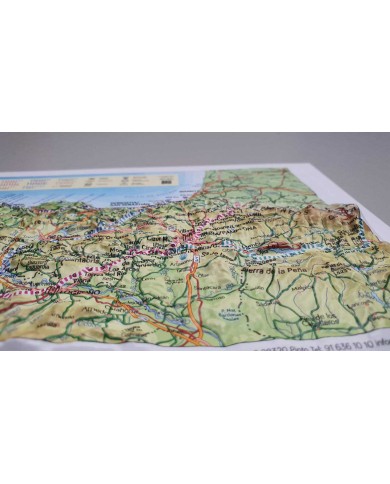 Camino de Santiago Francés y del Norte